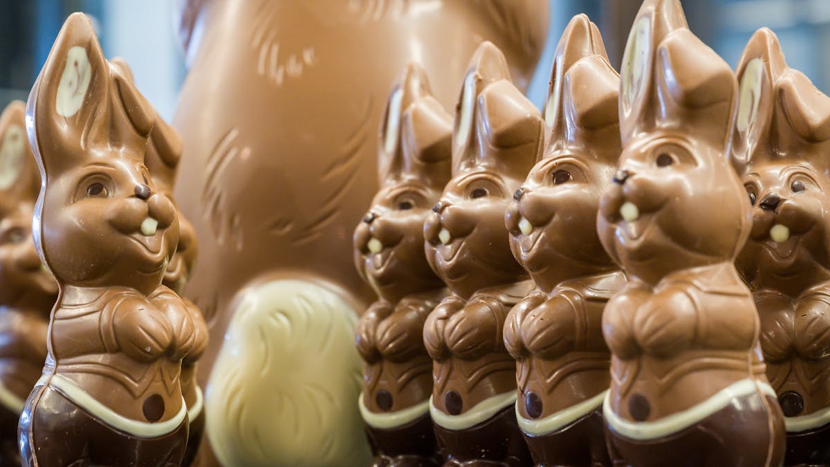 Chocolate S Secret Ingredient Is The Fermenting Microbes That Make It Taste So Good Chocolate S Secret Ingredient Is The Fermenting Microbes That Make It Taste So Good