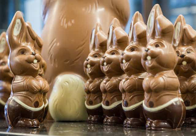 chocolate bunnies