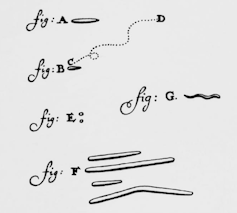 Dibujos a pluma y tinta de cuatro bacterias diferentes en forma de varilla.