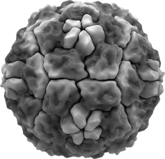 A black and white image showing a segmented sphere shaped item.