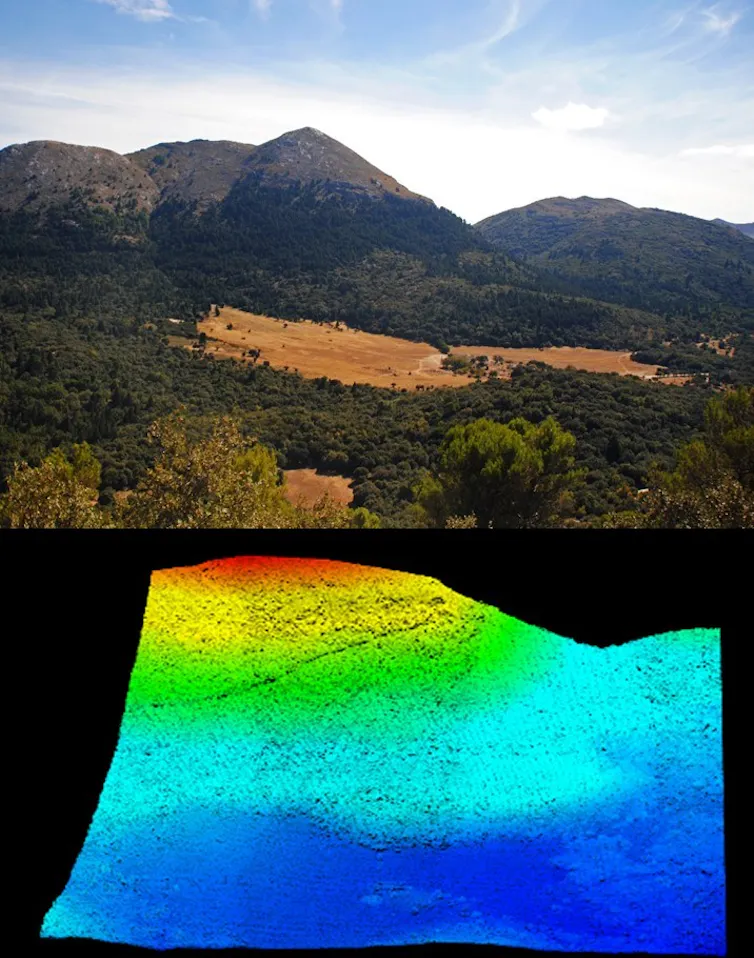 Imagen del pinsapar y levantamiento con lidar