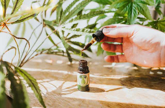 CBD oil with dropper on a table surrounded by pot plants