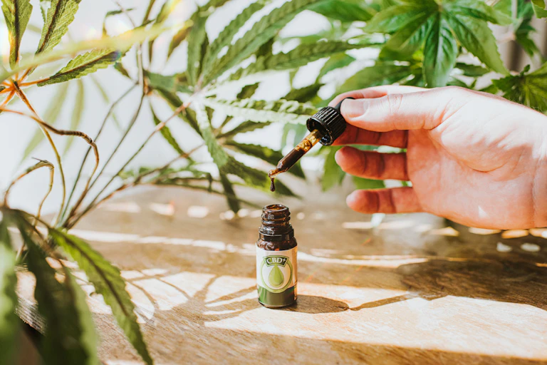 CBD oil with dropper on a table surrounded by pot plants