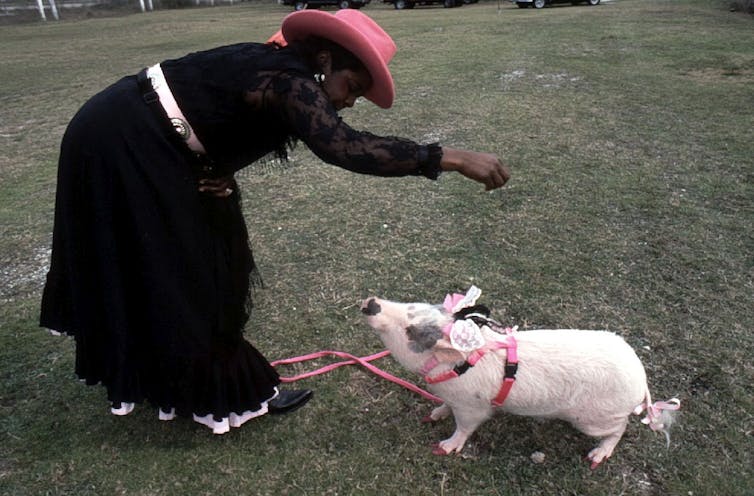 A woman in a pink cowboy hat feeds her pig.