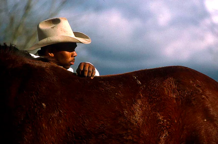 A man pets a horse.