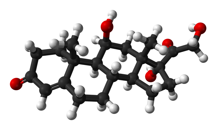 A 3D model of cortisol
