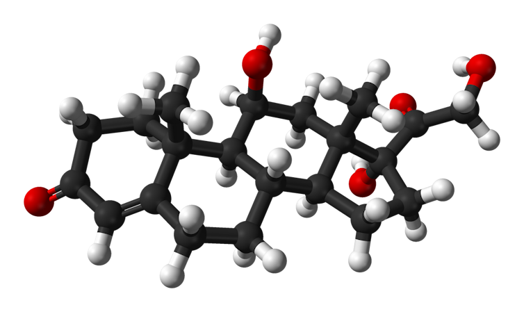 Un modelo 3D de cortisol