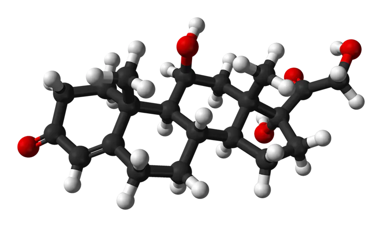A 3D model of cortisol