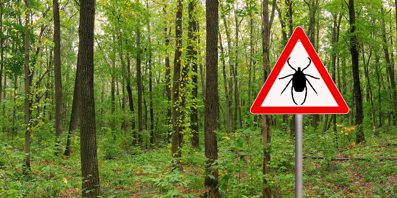 Fact or fiction: Debunking 4 common myths about ticks