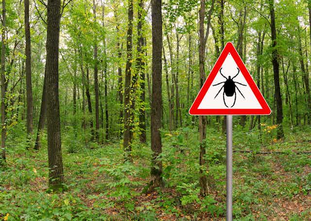 A forest with a sign in the foreground showing a tick in a caution triangle