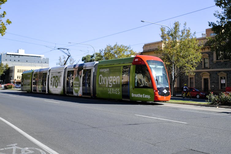 an Adelaide tram travels down the middle of the road