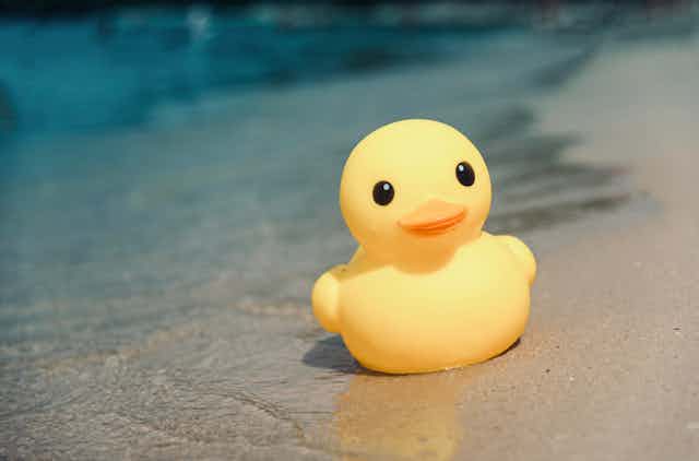 rubber duck on shoreline