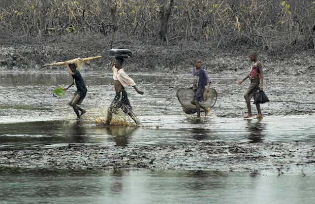 Adolescents walk through a mangrove swamp polluted by crude oil o
