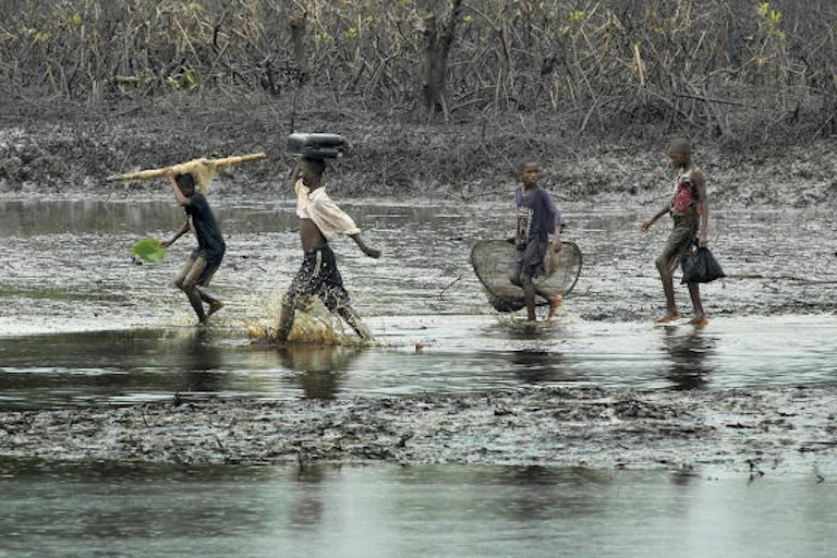 Adolescents walk through a mangrove swamp polluted by crude oil o