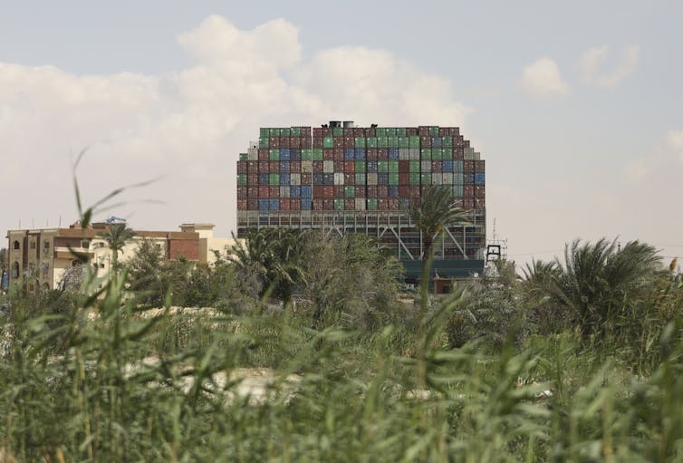 The container ship the Ever Given is seen in the distance stuck on the bank. Its stern can be seen with lots of containers. Plants are in the foreground.