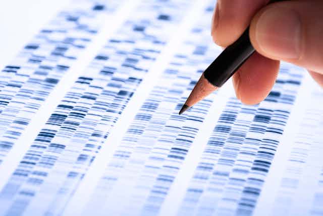 A hand takes a pencil to a genetic code