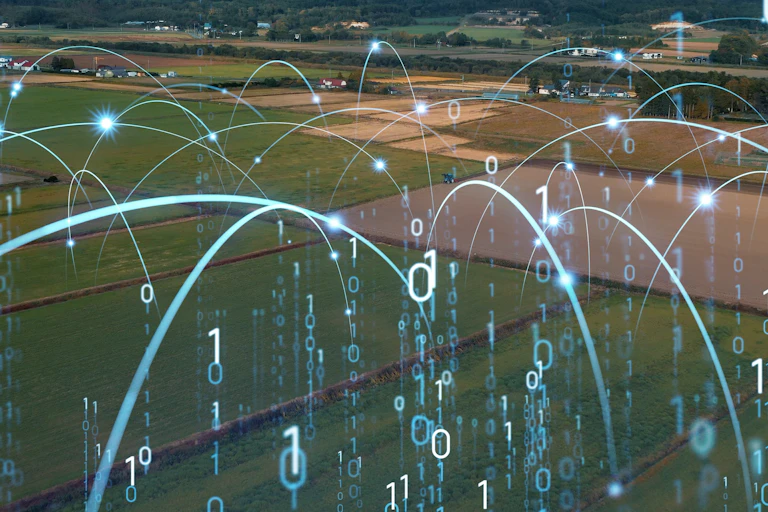 farmers field with bouncing numerals