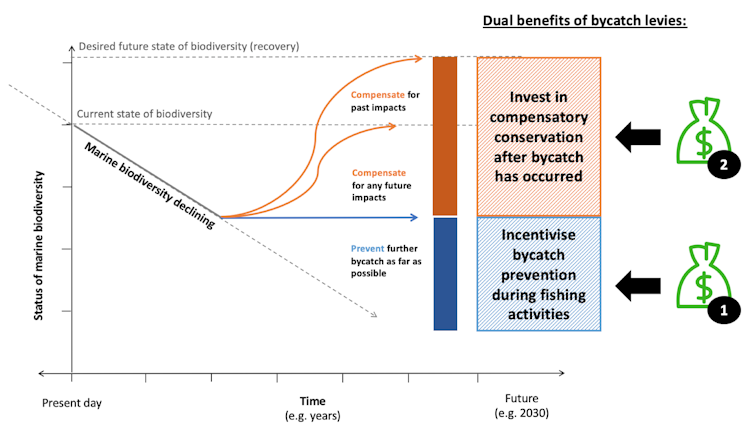 Dual benefits of bycatch levies