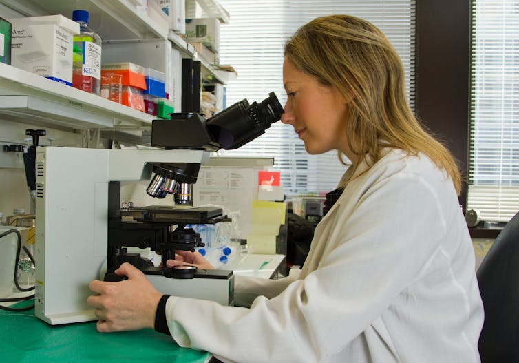 A female scientist in a laboratory looks through a microscope