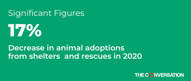 Americans adopted fewer pets from shelters in 2020 as the supply of rescue animals fell
