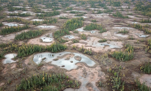 aerial view of a peatland