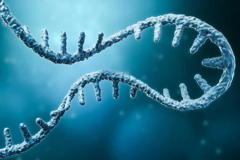 mRNA molecule