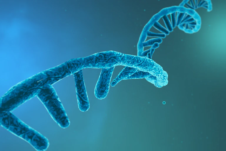 A 3D illustration of a blue strand of RNA.