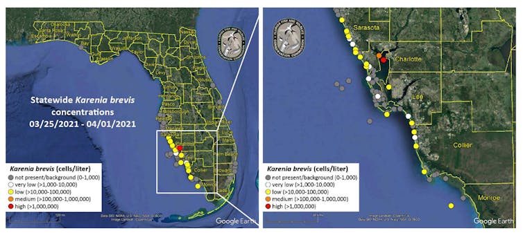 Two maps with dots showing locations of reports.