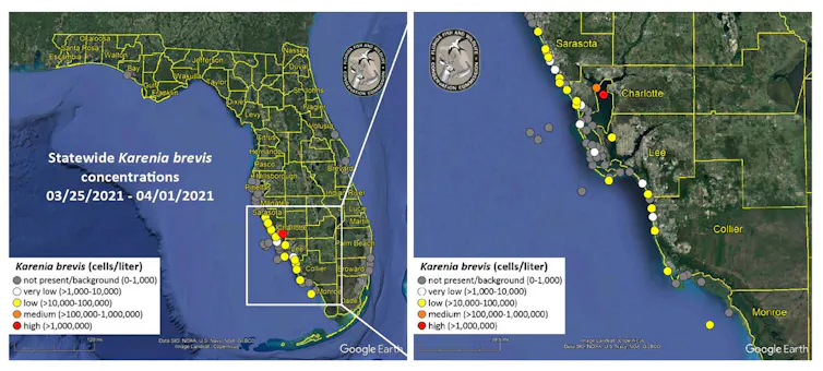 Two maps with dots showing locations of reports.