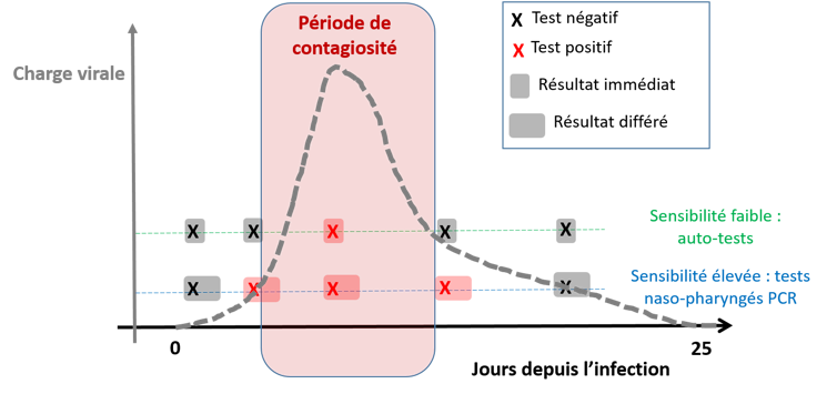 Figure 1: Évolution de la charge virale au cours de l’infection et positivité des tests.