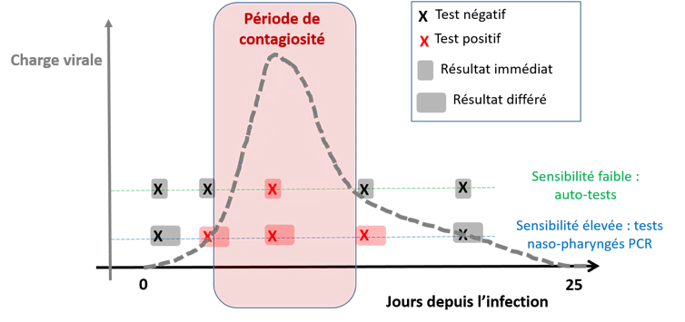 Figure 1: Évolution de la charge virale au cours de l’infection et positivité des tests.