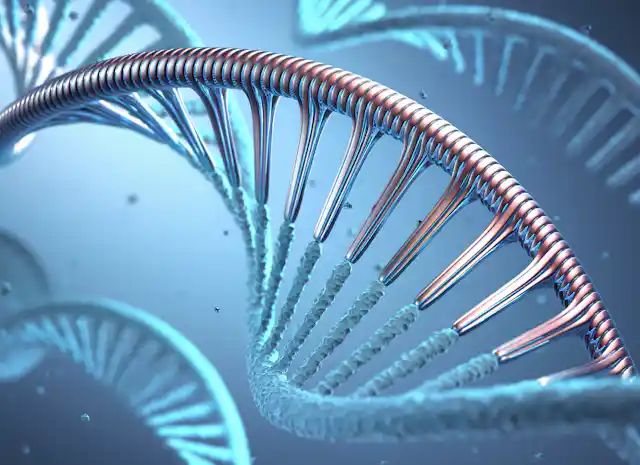 artist's rendition of RNA paired up with DNA strand