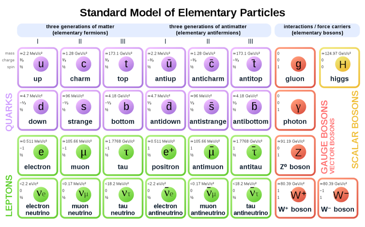 All of the particles and forces of the Standard Model of physics.