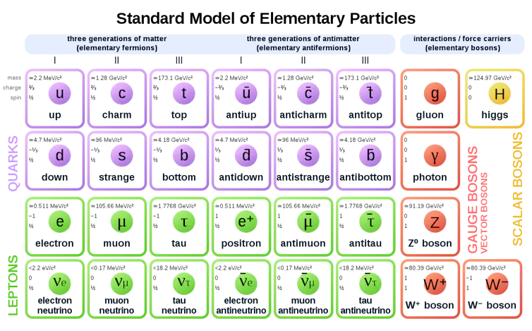 All of the particles and forces of the Standard Model of physics.