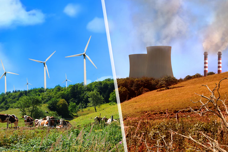 composite of wind turbines and coal plant