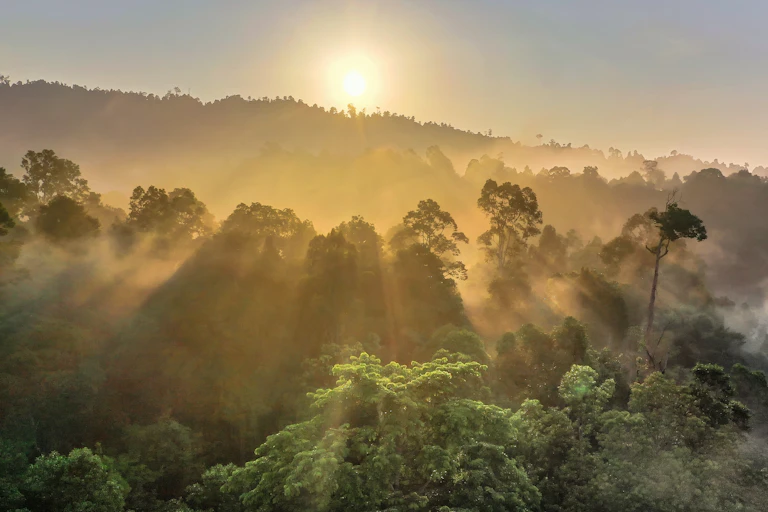 Sun sets on a tropical rainforest.