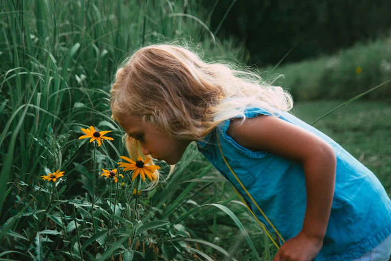 Child smelling a black eyed susan