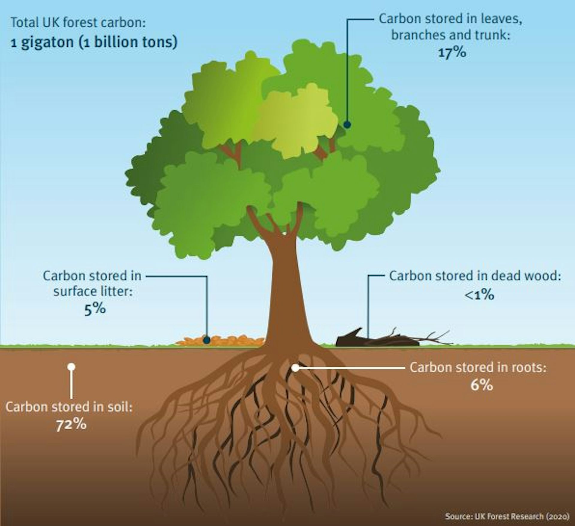 There aren’t enough trees in the world to offset society’s carbon