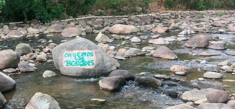 'Let's safeguard the forests' painted on a rock along the Guapinol River
