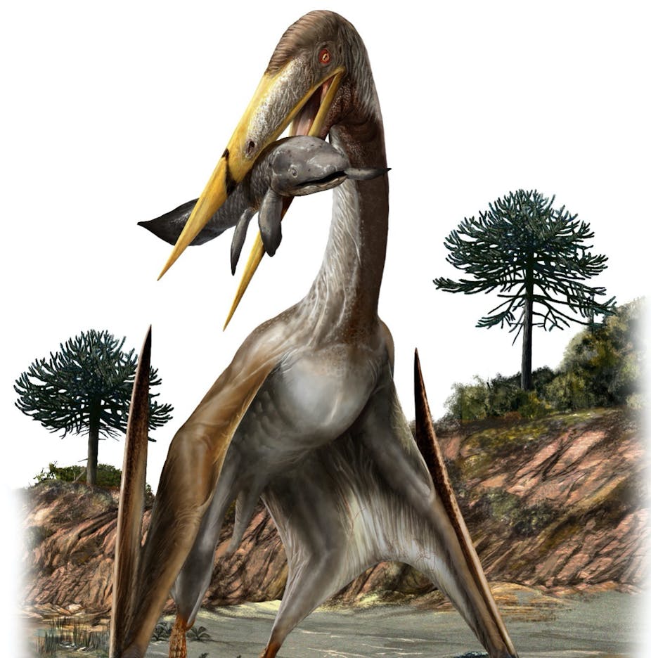 Illustration of an azhdarchid pterosaur.