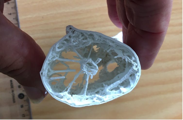 3D print of a CT scanned cervical vertebra of an azhdarchid pterosaur, showing a central neural tube connected to the rest of the bone with spoke-like structures.
