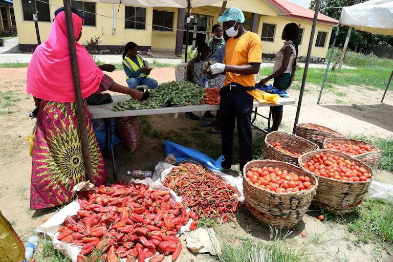 A group of people standing around baskets of tomatoes