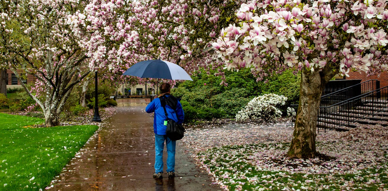 To ‘future proof’ universities, leaders have to engage faculty to make tough decisions