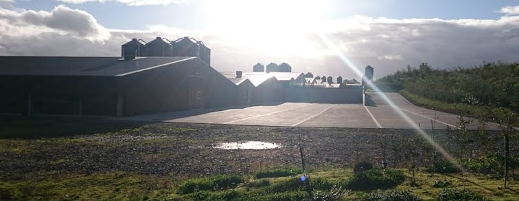 Sun shines on multiple metal sheds by field.