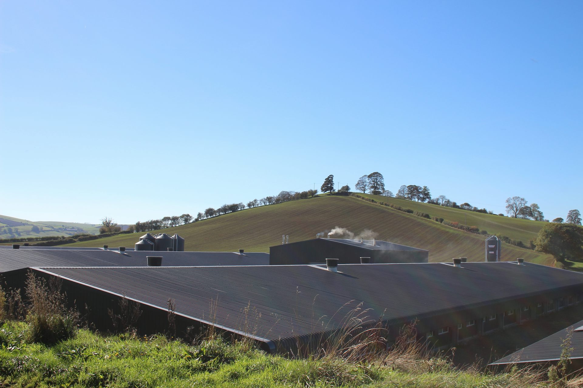 More massive chicken sheds in rural landscape.