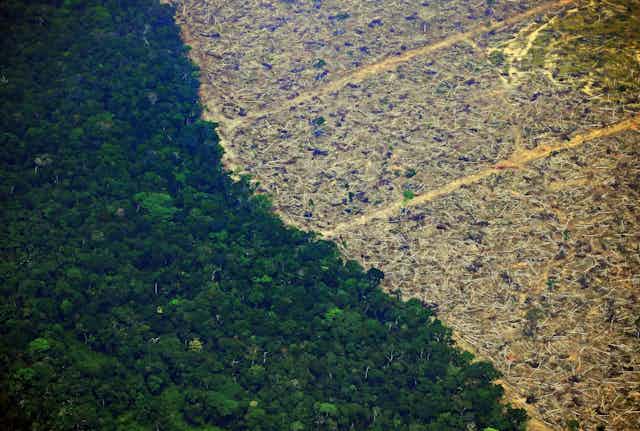 A deforested piece of land in the Amazon rainforest.