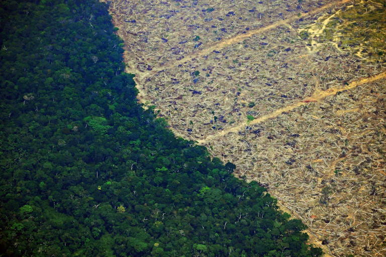 A deforested piece of land in the Amazon rainforest.