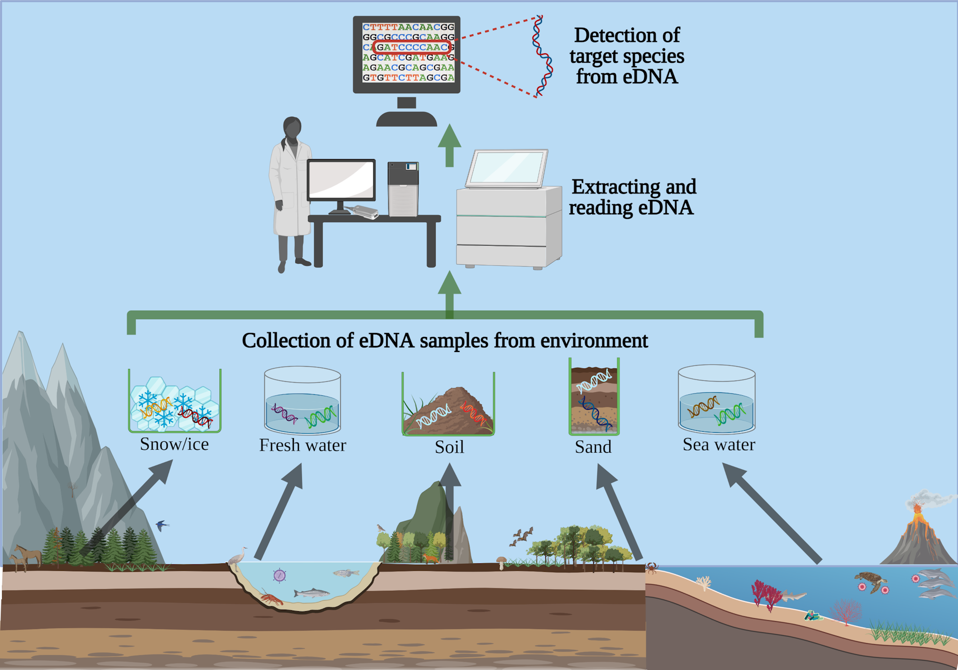 Environmental DNA – How A Tool Used To Detect Endangered Wildlife Ended ...