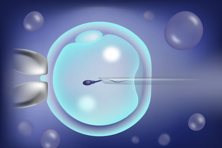 Injecting sperm into egg