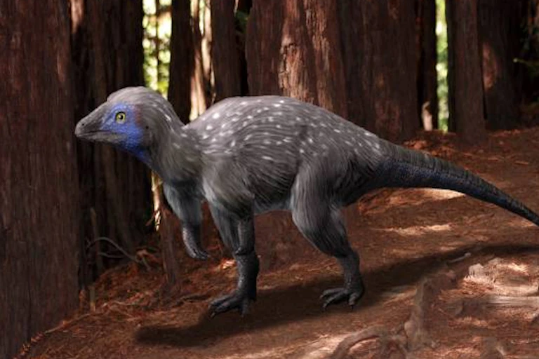 Reconstruction of a Kulindadromeus dinosaur with feathers.